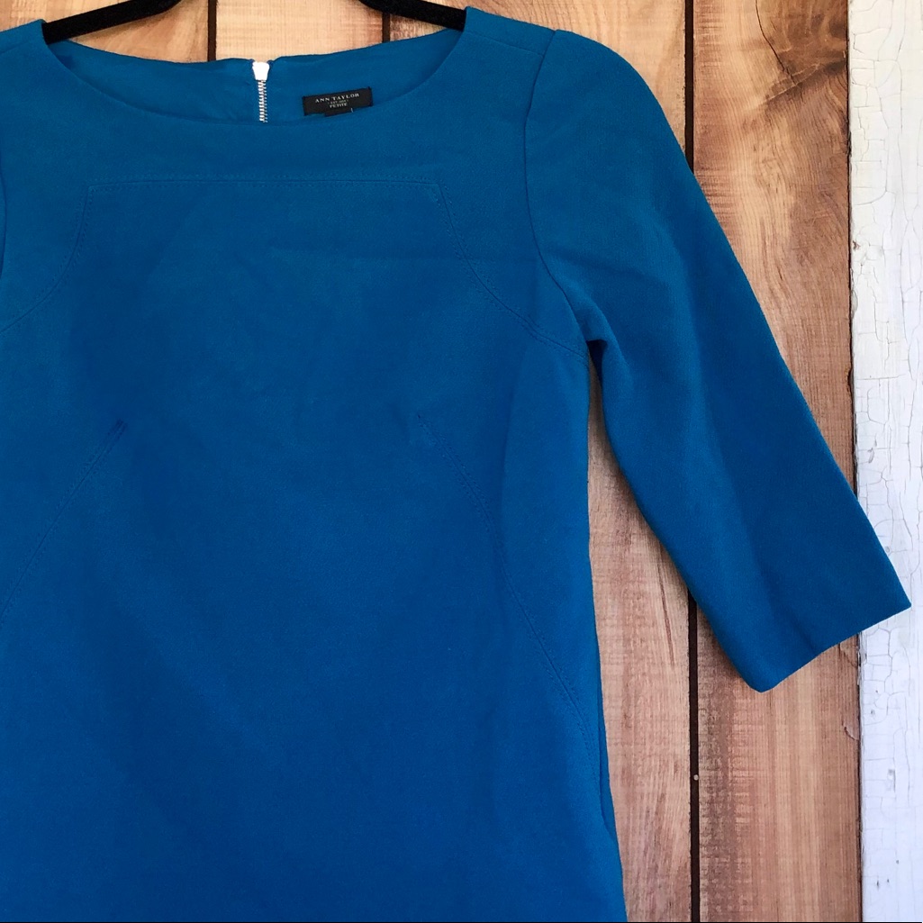 Ann Taylor Zipper Back Dress